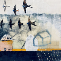 Dana Harris Seeger