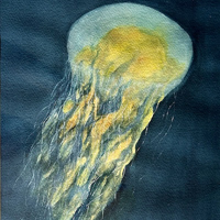 Donna Hansen