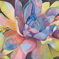 Denice Craig Tweedy